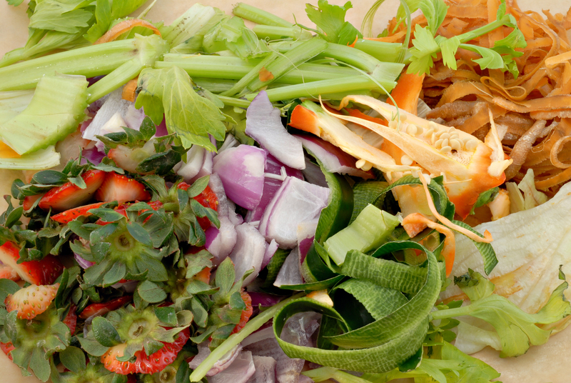 Turning the Tide on Microplastic Pollution Today